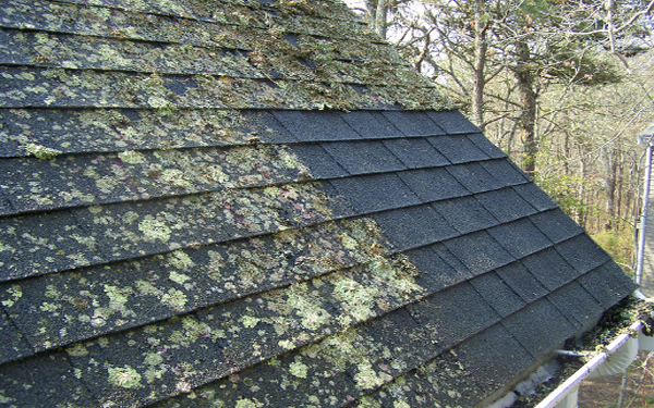 Roof Cleaning & Moss Removal