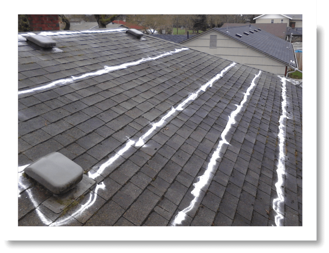 Best Roof Cleaning Services In Lane County, OR Cutting Edge