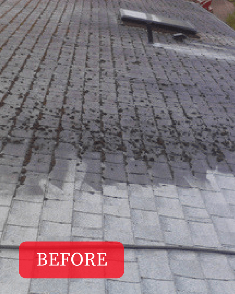 Best Roof Cleaning Services In Lane County, OR Cutting Edge