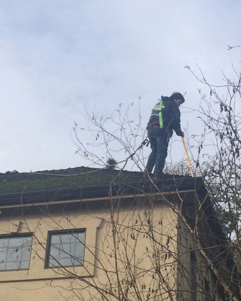Best Roof Cleaning Services In Lane County, OR Cutting Edge