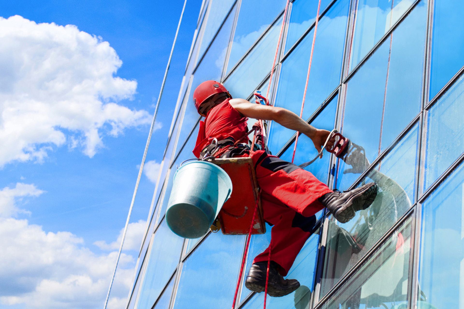 Cutting Edge Window Cleaning Gutter, Roof Cleaning Company